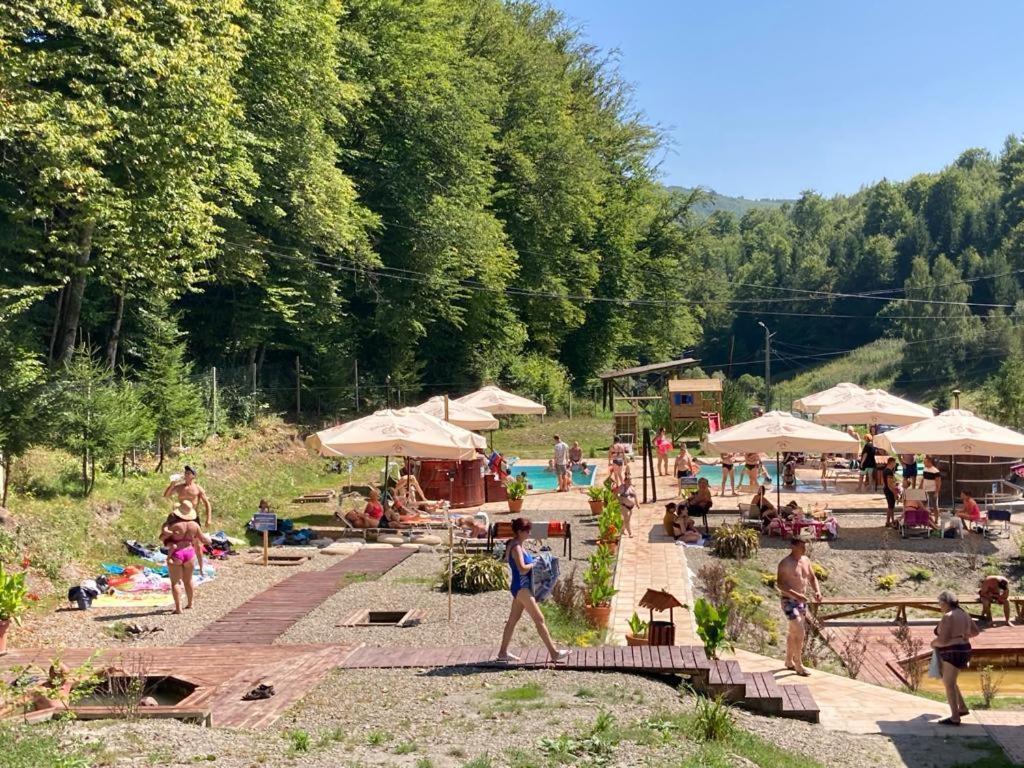 Pensiunea Cetate Balvanyos Buitenkant foto